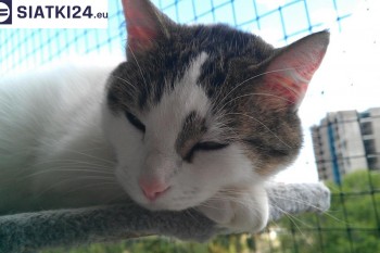 Siatki Miastko - Siatka na balkony dla kota i zabezpieczenie dzieci dla terenów Miastka